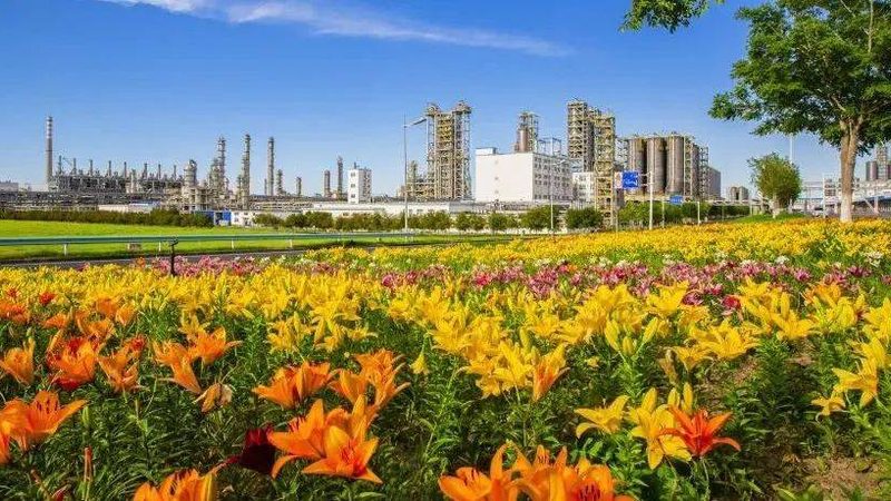 成都表面活性剂标准规范：解读与应用